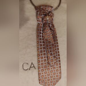 Elegant Patterned Tie With Bee Brooch.